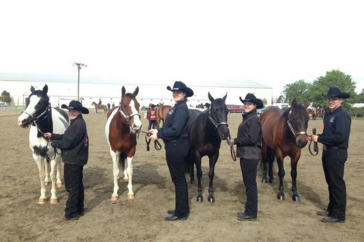 Skyview, equestrian team